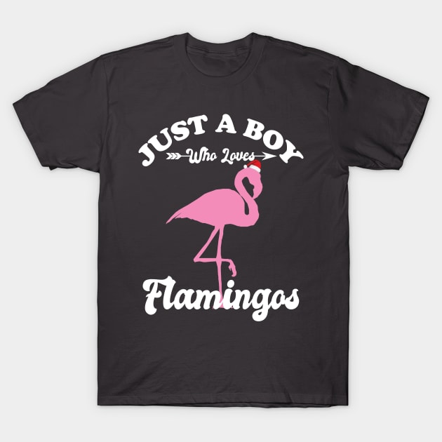 Just a Boy Who Loves Flamingos T-Shirt by Eteefe